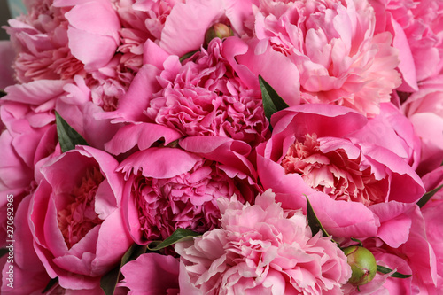 Fototapeta Naklejka Na Ścianę i Meble -  Fragrant peonies as background, closeup view. Beautiful spring flowers