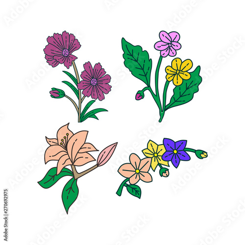 Flower Leaf Illustration Design Template Vector