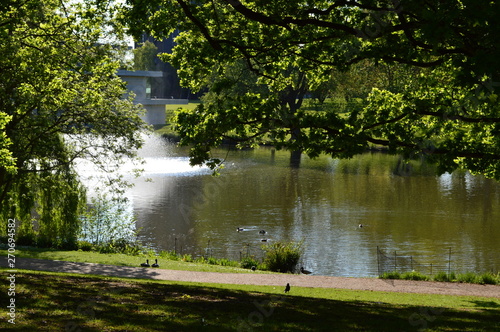 University of Essex lake with trees