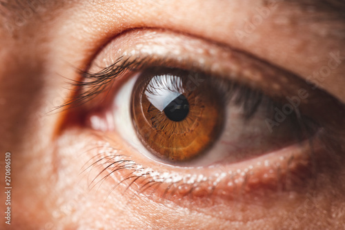 Macro image of human brown eye
