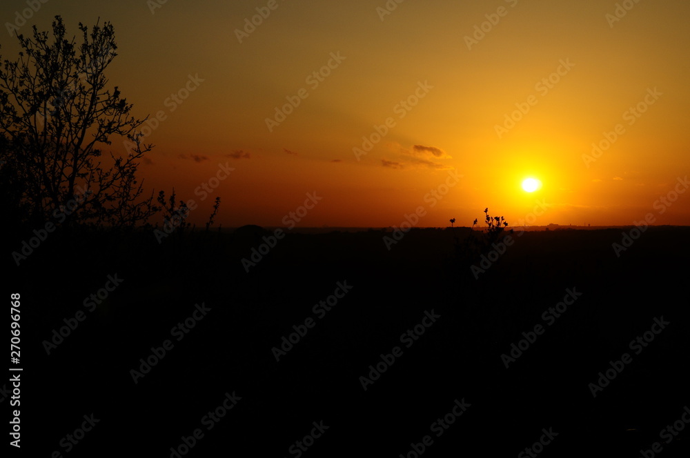 sunset on a field