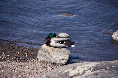 Finlandia - Helsinki