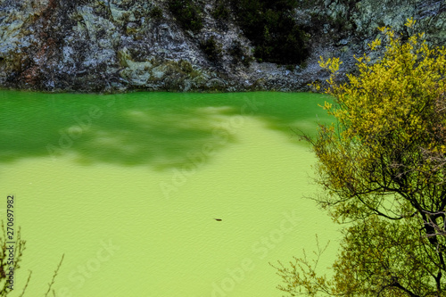 Devil's bath, a green pond in Wai-O-Tapu geothermal national park 4