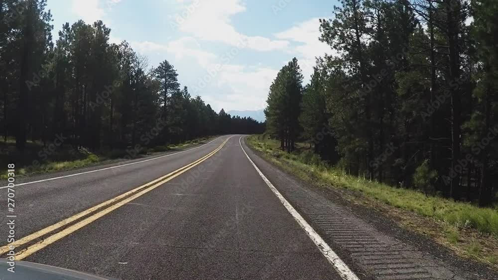 Car View Driving Highway 180 In Coconino National Forest- Flagstaff AZ Car View Driving Highway 180 In Coconino National Forest- Flagstaff AZ