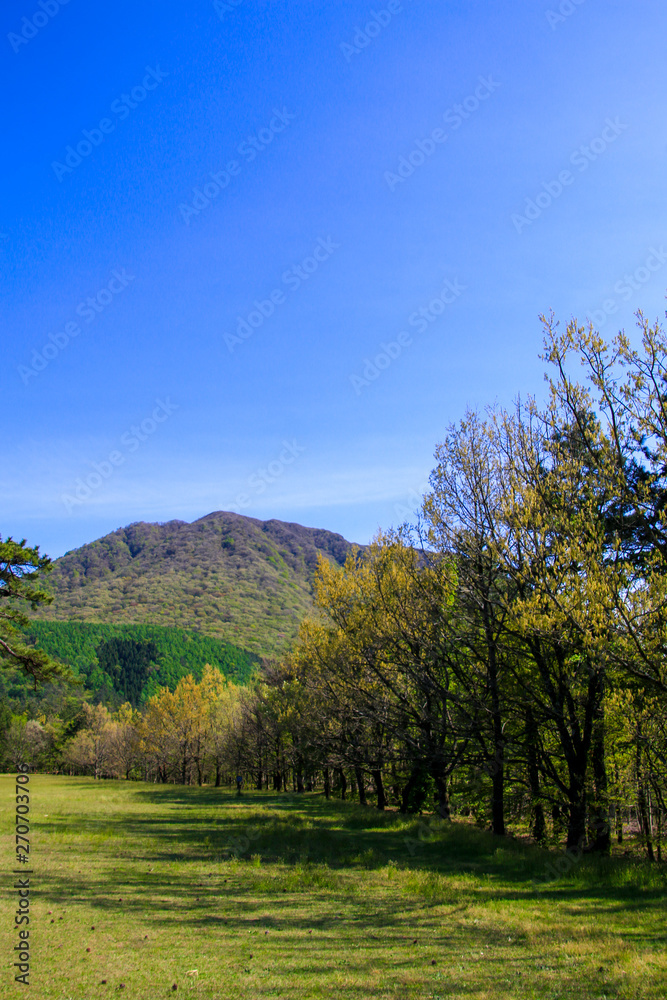 三瓶山 三瓶山