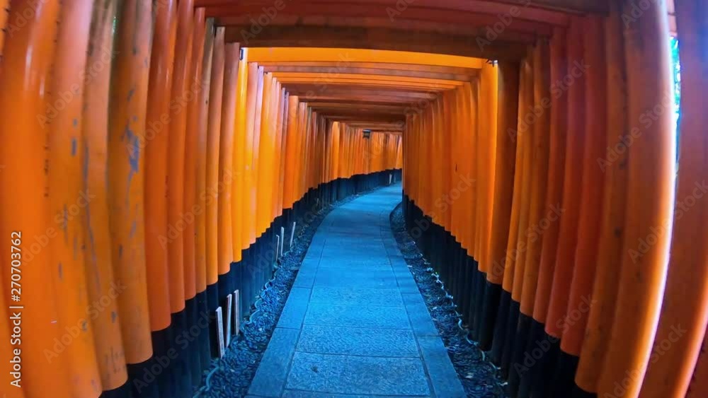 Walking though orange torii gates in famous Fushimi Inari Taisha in Kyoto, Japan Walking though orange torii gates in famous Fushimi Inari Taisha in Kyoto, Japan
