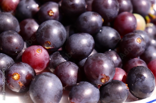 currant on black background