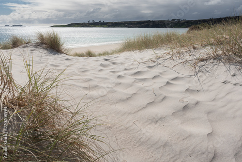White sand dunes with golden sand sedge behind the beach at Karikari Moana, Northland, New Zealand.