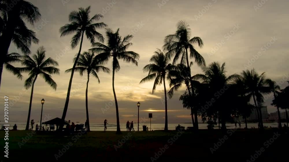 Hawaii sunset walking toward people and palm trees. Hawaii sunset walking toward people and palm trees.