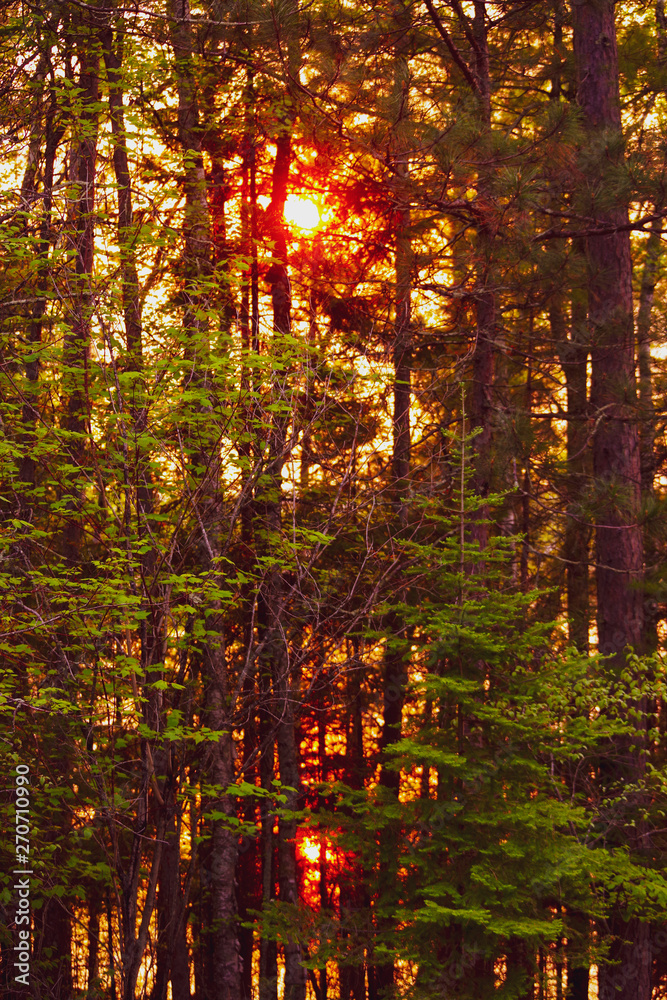 2 suns 2 suns