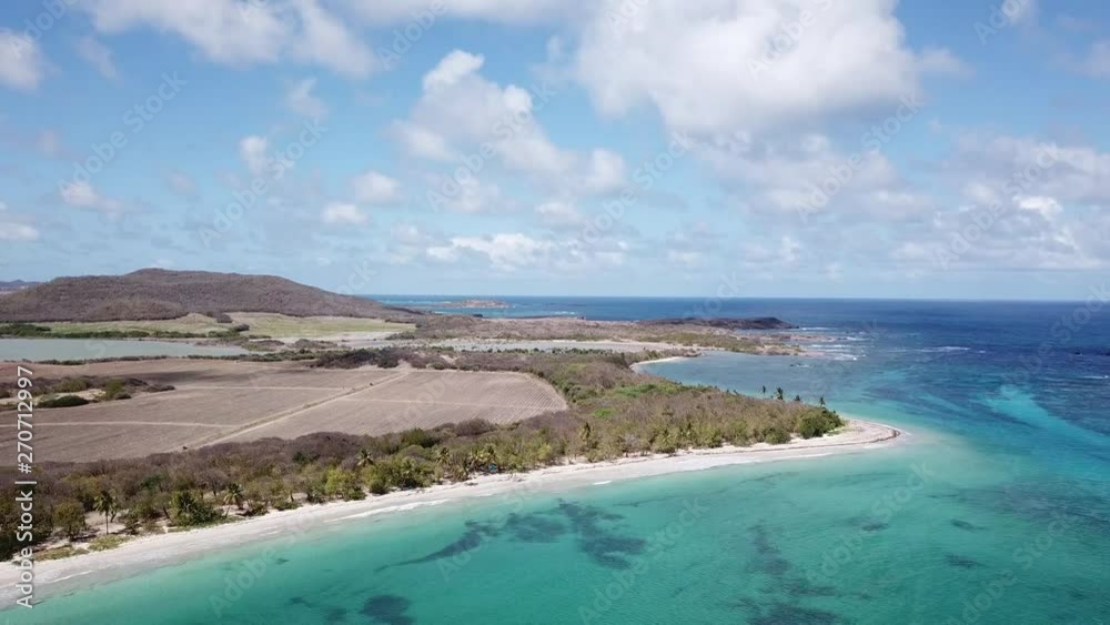 drone aerial over les salines beach table du diable savane des petrifications sainte anne martinique drone aerial over les salines beach table du diable savane des petrifications sainte anne martinique