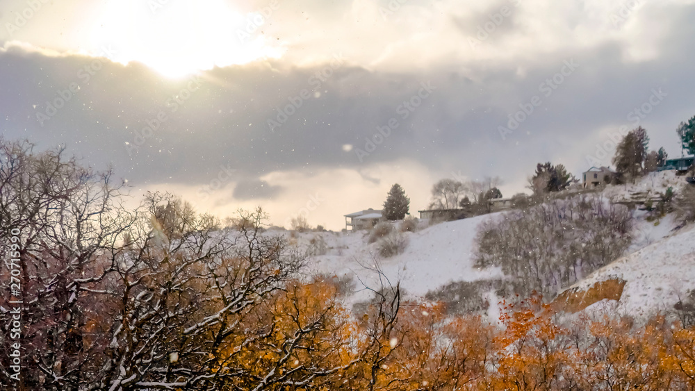 Panorama Mountain slope with grasses and trees blanketed with snow in winter
