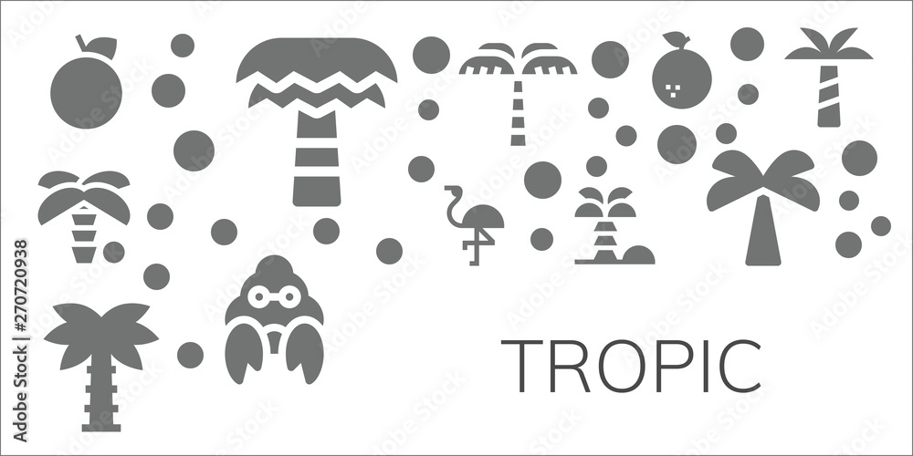 Naklejka premium tropic icon set