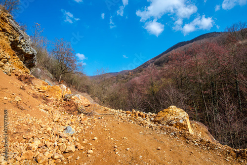 Road in the forest at the spring © somra