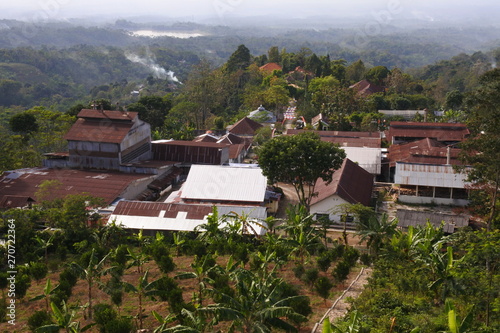 Jollong coffee plantation with Muria mountain in the background photo