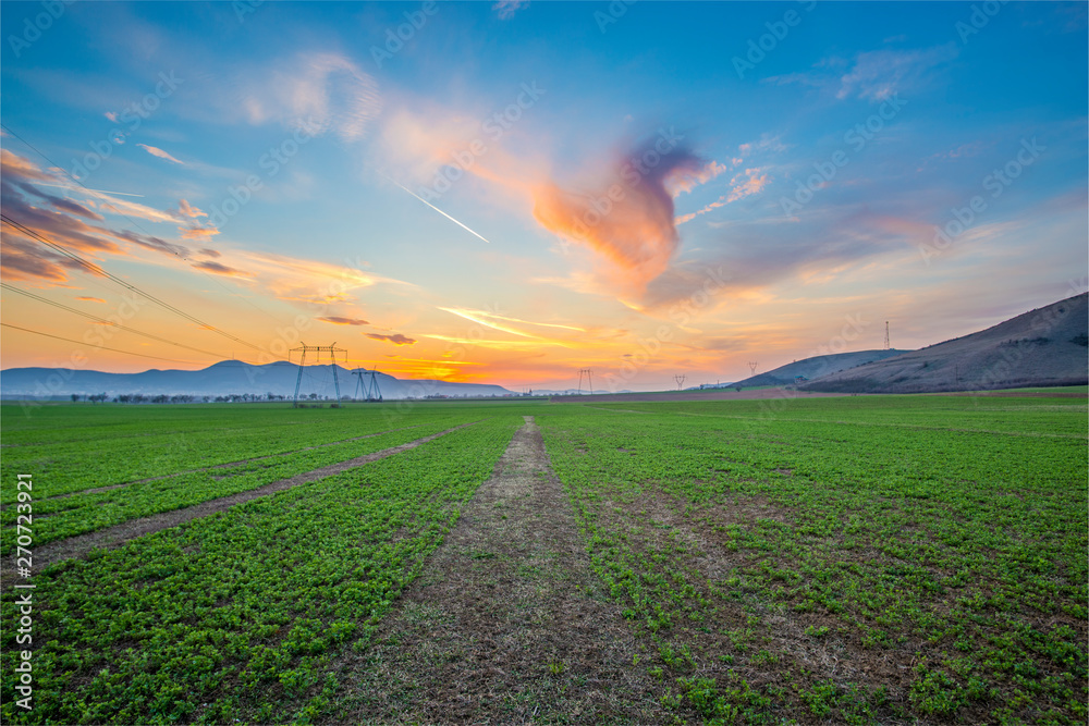 Obraz premium Sunset on the springtime