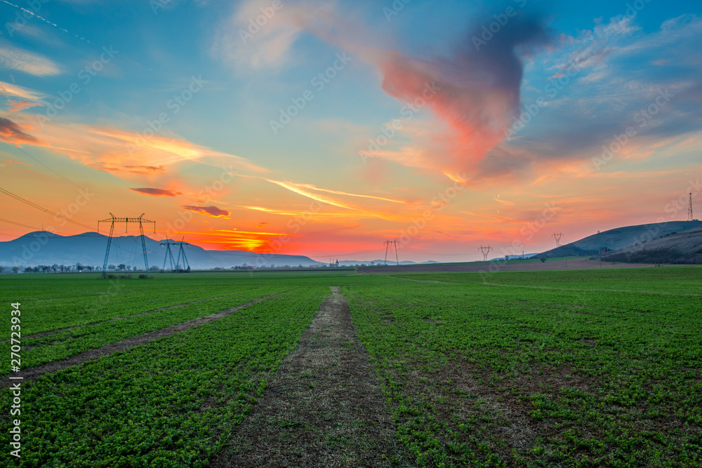 Obraz premium Sunset on the springtime