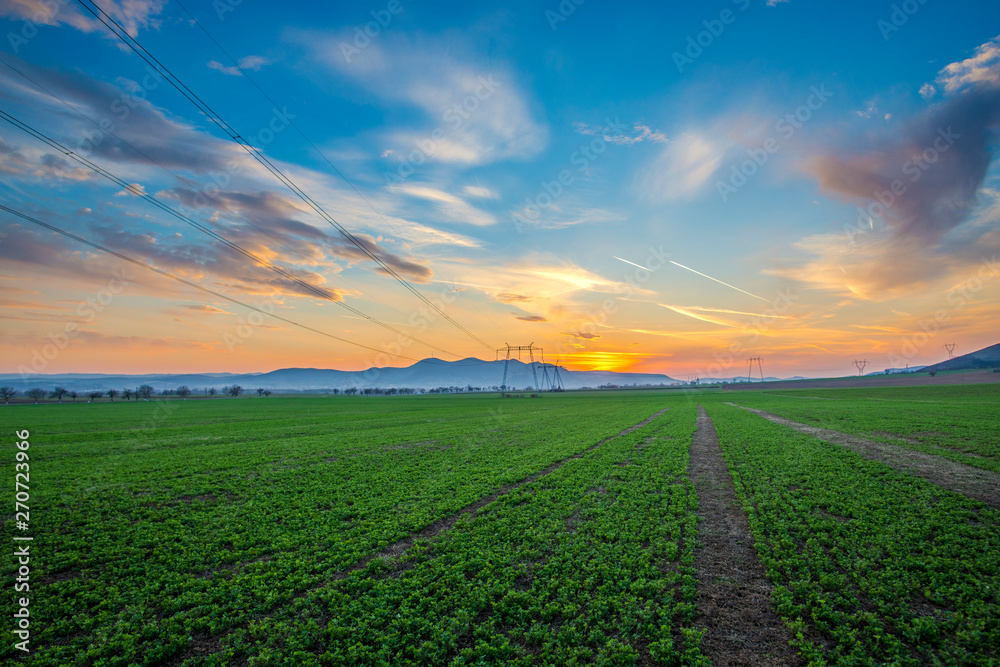 Obraz premium Sunset on the springtime