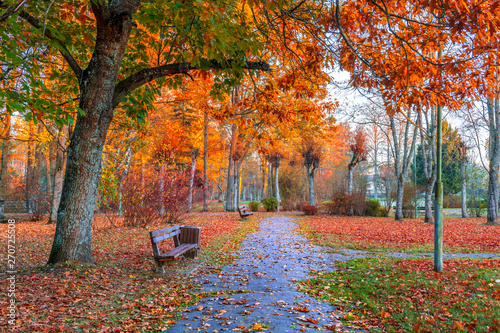 Autumn in old European park
