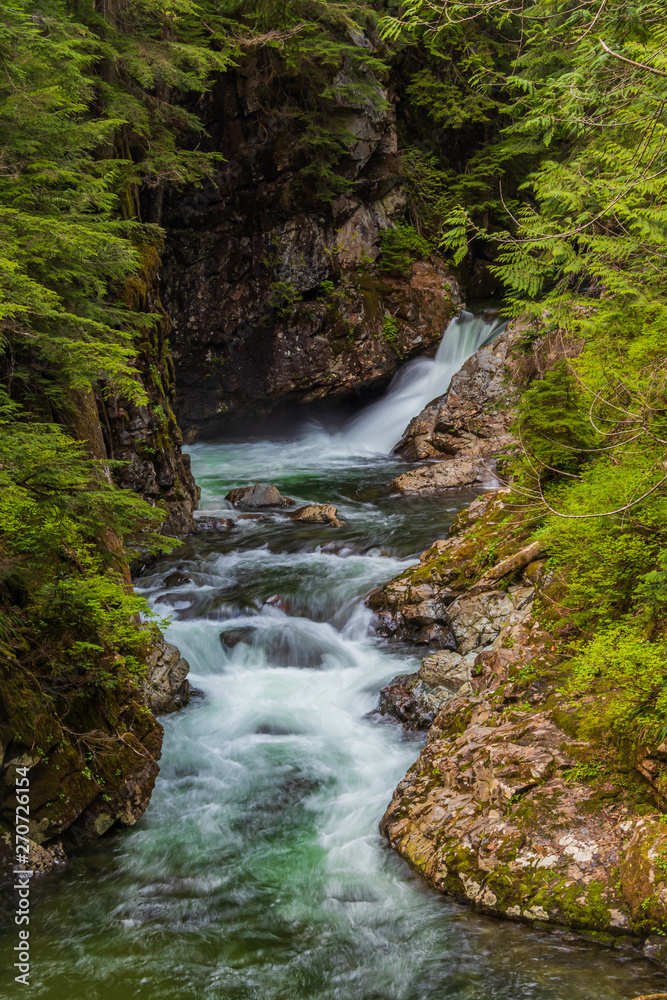 waterfall in forest waterfall in forest