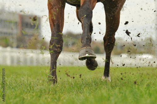 Horse racing action
