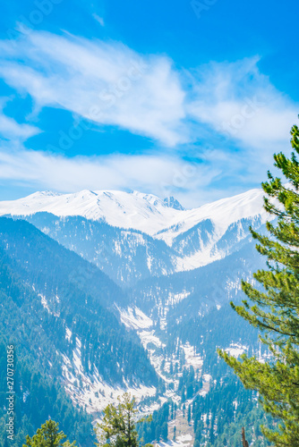 Beautiful tree and snow covered mountains landscape Kashmir state, India