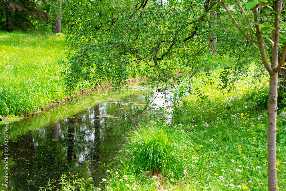 Obraz premium View of a small narrow river and near growing trees on a warm spring or summer day