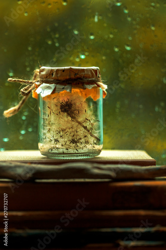 dandelions in a glass jar
