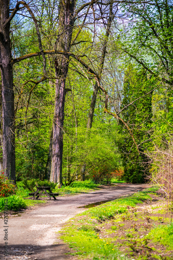 Landscape in the park