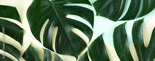 Tropical background. Tropical palm leaves on pastel yellow and blue backgroun...