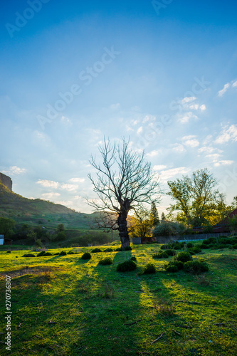 Sunrise near the river