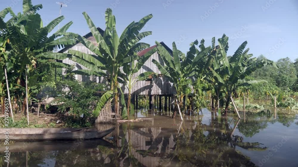 Flooded field next to banana plants. Stilt house as backdrop Flooded field next to banana plants. Stilt house as backdrop