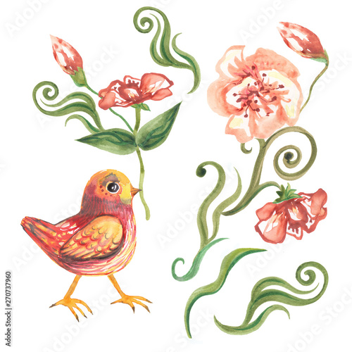 A bird with an anemone flower in its beak. On a white background flowers and plants.
