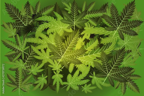 Marijuana Cannabis Plant Background Vector