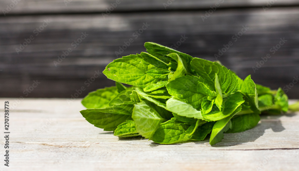 Fototapeta premium a bouquet of fresh mint on a wooden surface in sunlight with a copy of space