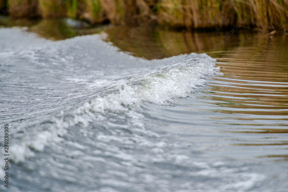 Fototapeta premium Amazing Danube Delta