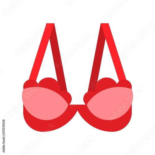 Bra or Brassiere vector illustration, flat style icon