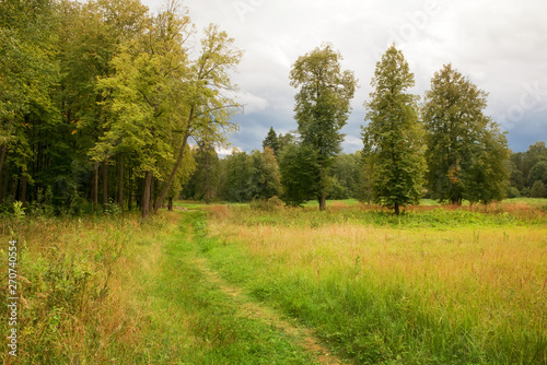 Fototapeta Naklejka Na Ścianę i Meble -  Summer landscape. Footpath going through the field along the edge of the forest