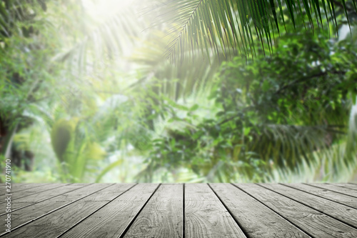 Wooden empty and blurred fresh green nature garden background.