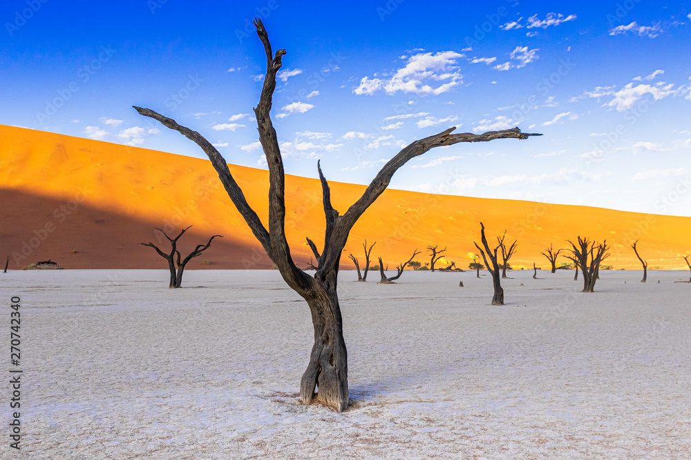 Deadvlei im Namib-Naukluft-Nationalpark, Namibia