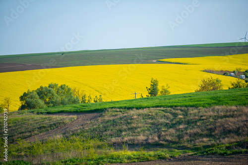 Springtime view