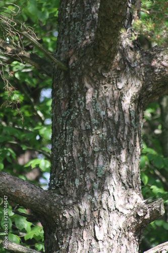 Natur im Biosph  rengebiet Reutlingen