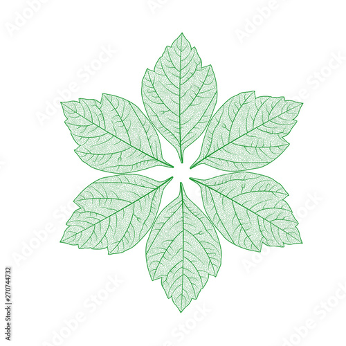 Beautiful background with leaves . Vector illustration. EPS 10