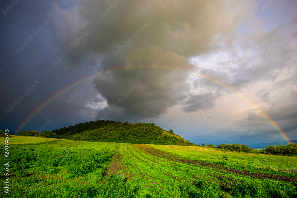Beautiful rainbow in the springtime