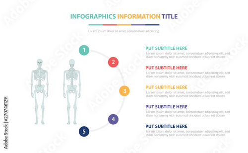 human skeleton bone infographic template concept with five points list and various color with clean modern white background - vector