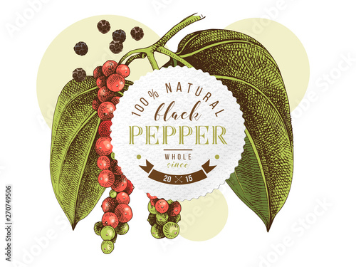 Black pepper emblem over hand drawn pepper plant