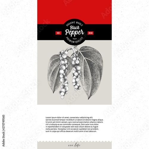 Background with hand drawn pepper plant and small round label with type design
