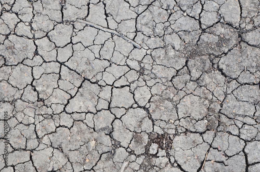 Dried cracked earth soil ground texture background. Mosaic pattern of sunny dried earth soil Dried cracked earth soil ground texture background. Mosaic pattern of sunny dried earth soil