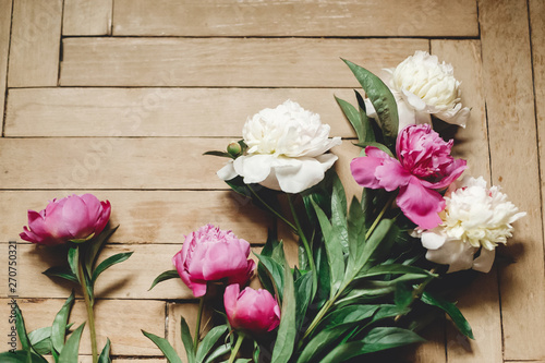 Beautiful pink and white peonies on rustic wooden floor , flat lay. Floral decor and arrangement. Gathering flowers. Rural still life, countryside flowers © sonyachny