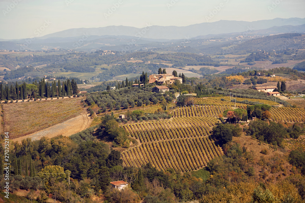 Tuscan panoramic banner landscape with vineyards, houses in Tuscany, Italy, Europe.